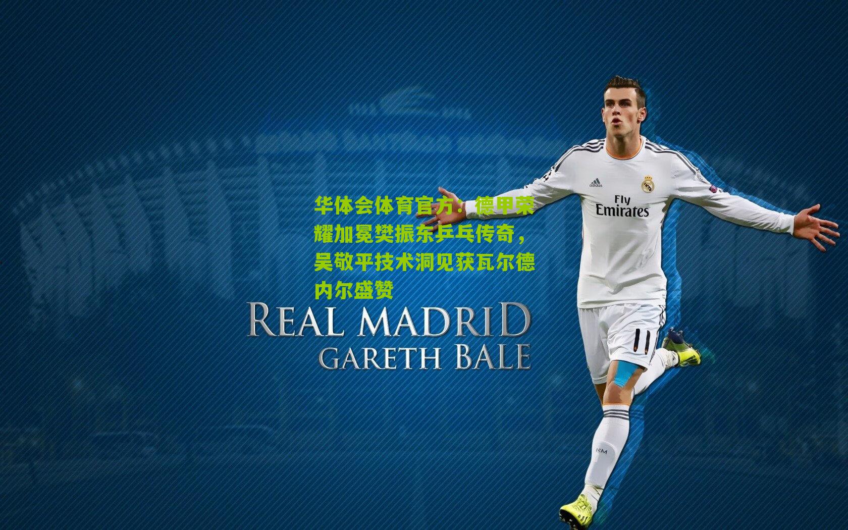 德甲荣耀加冕樊振东乒乓传奇，吴敬平技术洞见获瓦尔德内尔盛赞