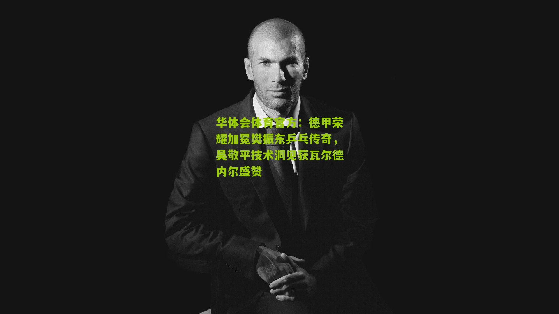 德甲荣耀加冕樊振东乒乓传奇，吴敬平技术洞见获瓦尔德内尔盛赞