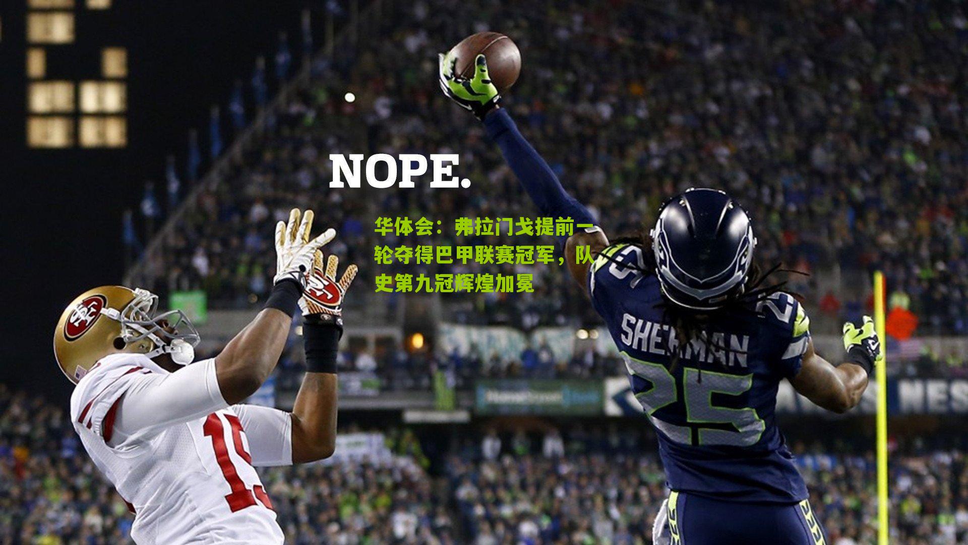 弗拉门戈提前一轮夺得巴甲联赛冠军，队史第九冠辉煌加冕